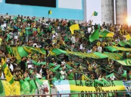 La Pesada del Puerto, barra brava d'Aldosivi