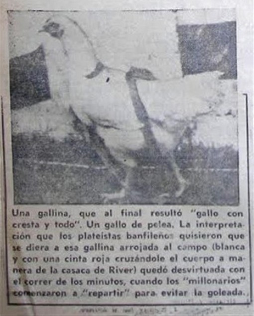 L'extrait de journal qui évoque la Gallina de River Plate. 