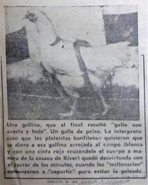 L'extrait de journal qui évoque la Gallina de River Plate.