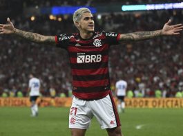 Flamengo et l'Athletico en finale de la Copa Libertadores 2022