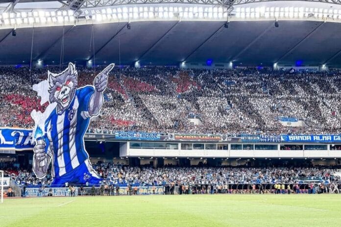 paysandu-remo Paysandu Remo